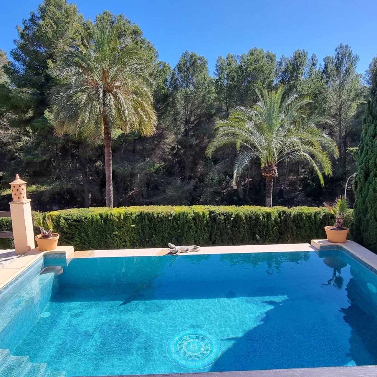 Spacious pool area with well-maintained outdoor space and natural privacy Spacious pool area with well-maintained outdoor space and natural privacy