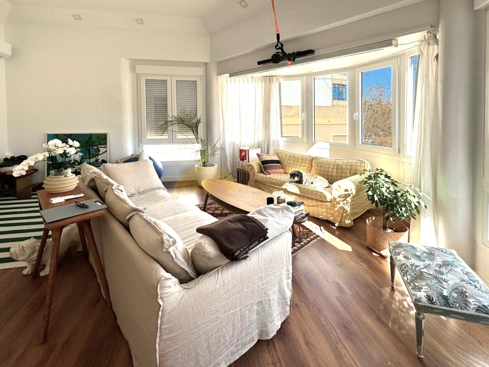 Exclusive property in the heart of Palma de Mallorca Exclusive property in the heart of Palma de Mallorca