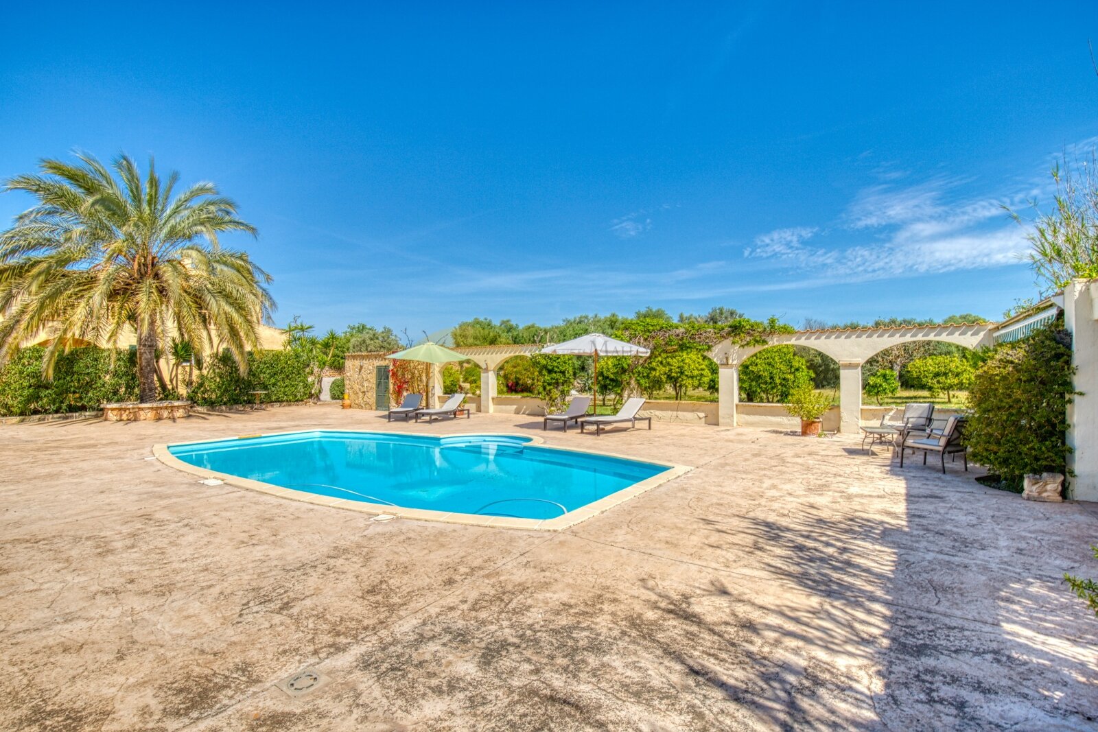 Pool area with an elegant pergola roof and spacious open space Pool area with an elegant pergola roof and spacious open space