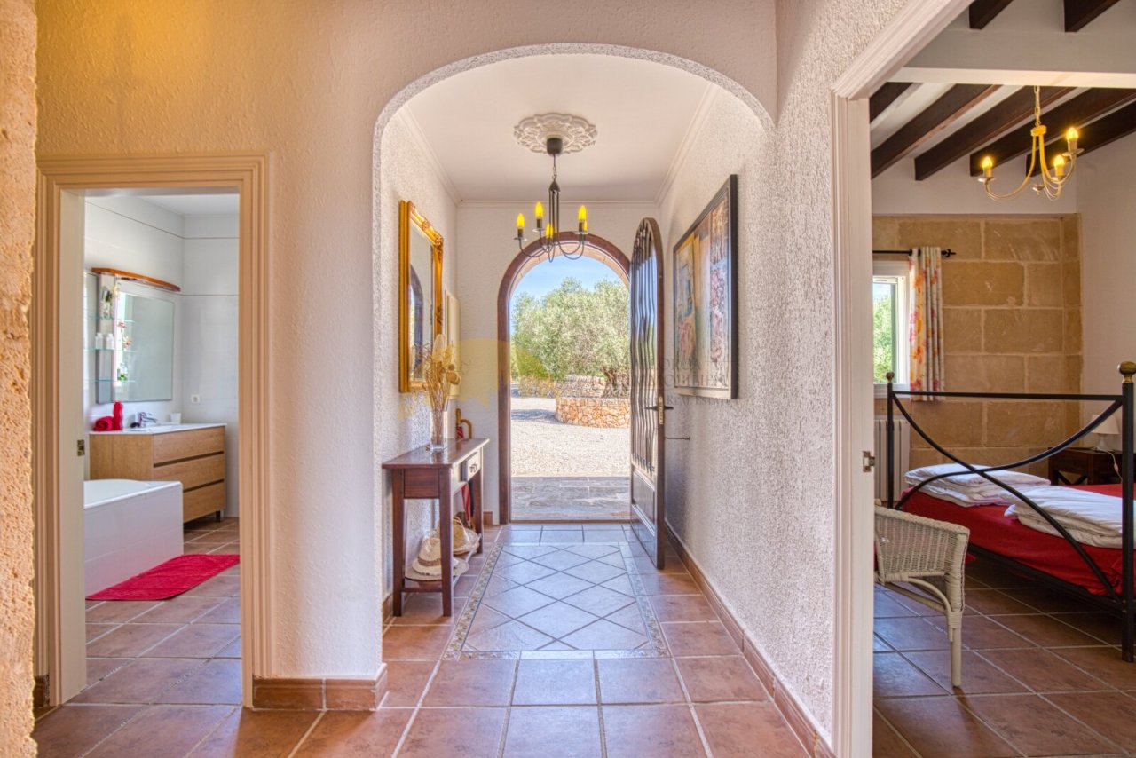 Elegant corridor area with vaulted architecture and direct access to the outdoor area Elegant corridor area with vaulted architecture and direct access to the outdoor area