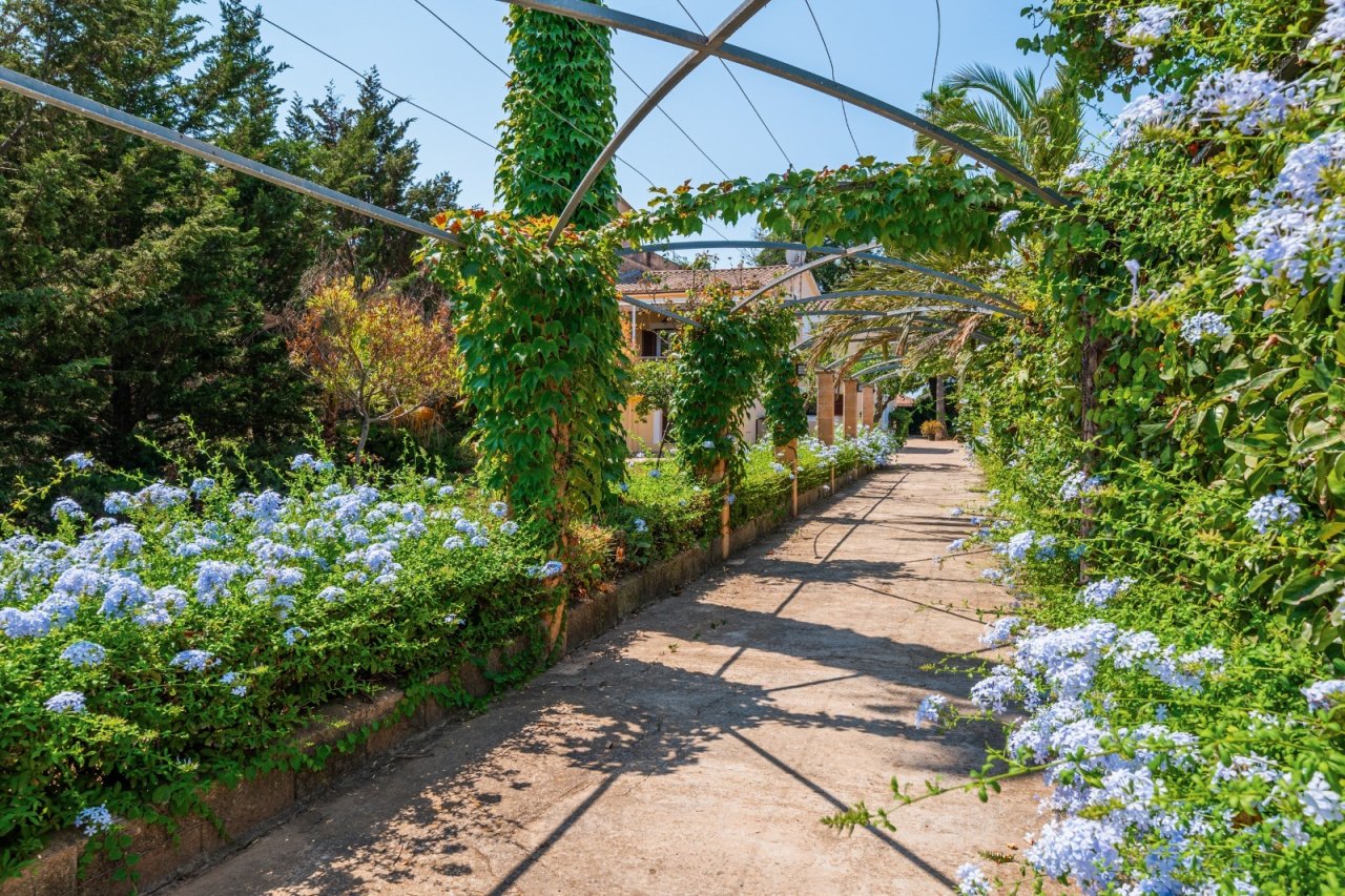 Garten Garten