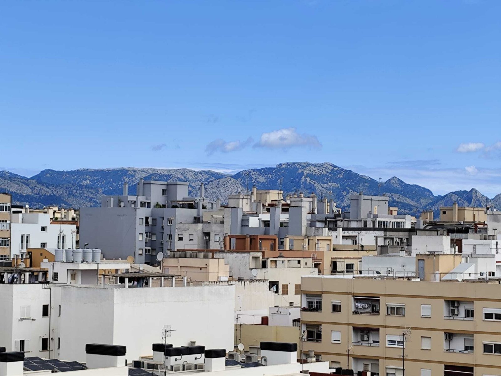 Blick auf Palma Blick auf Palma