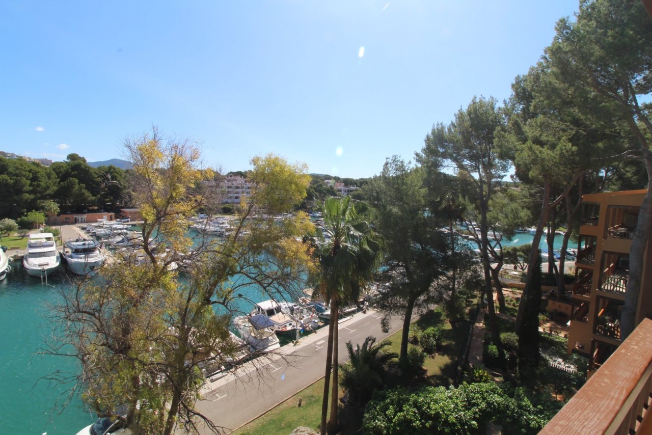 Blick direkt von der Terrasse Blick direkt von der Terrasse