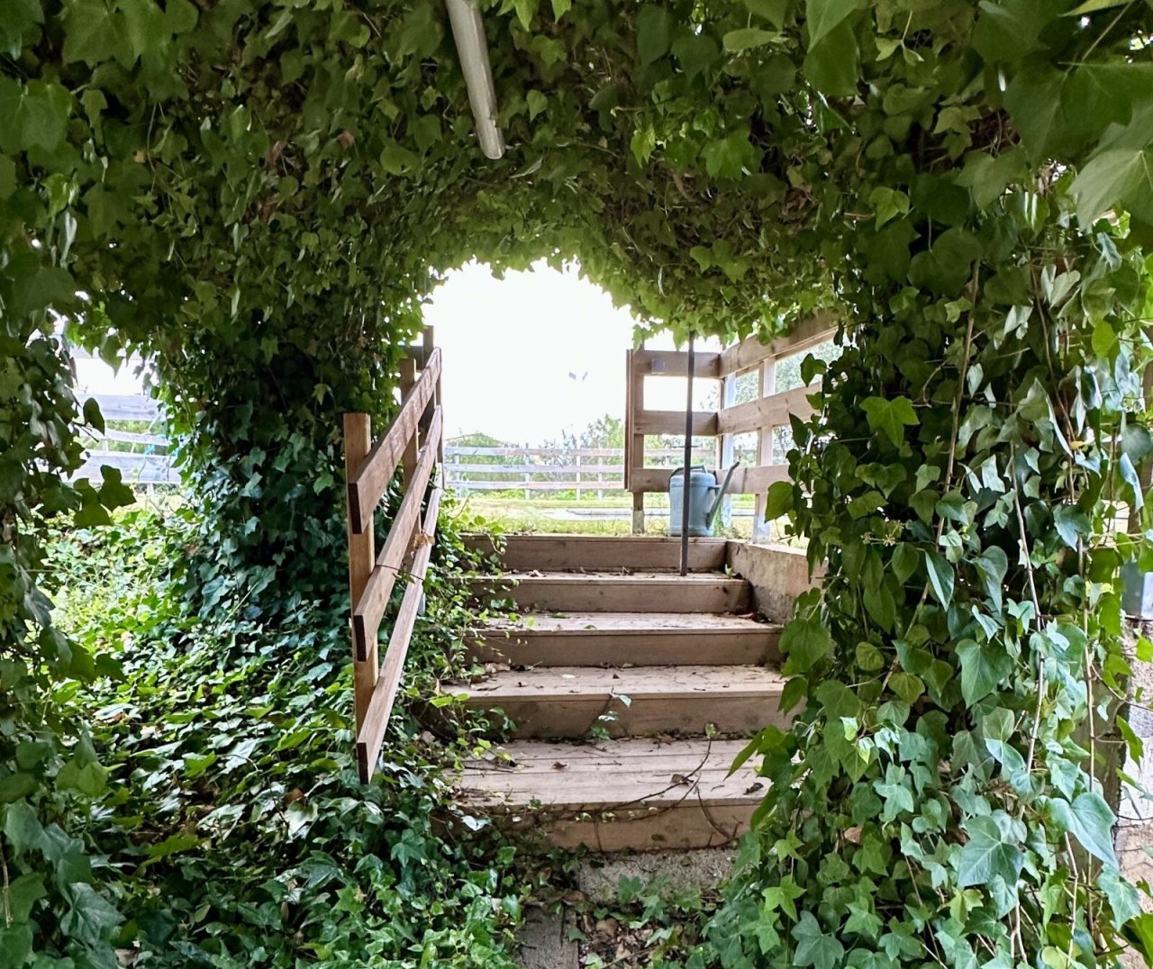 Eingang zum Garten