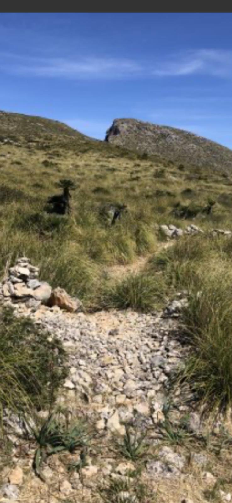 Finca para renovar con toda una ladera en Artà