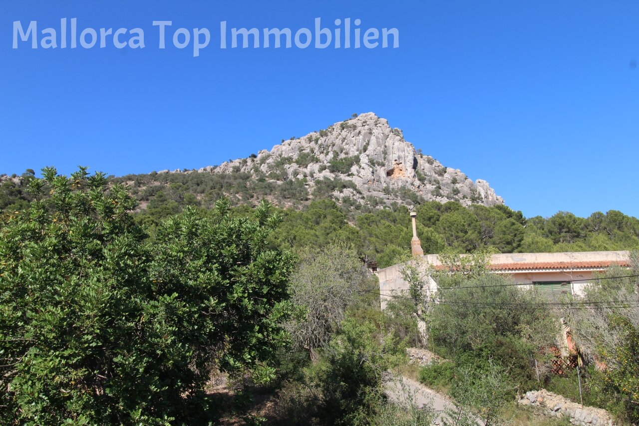 Finca enclavada en la naturaleza con vistas al monte de las brujas.