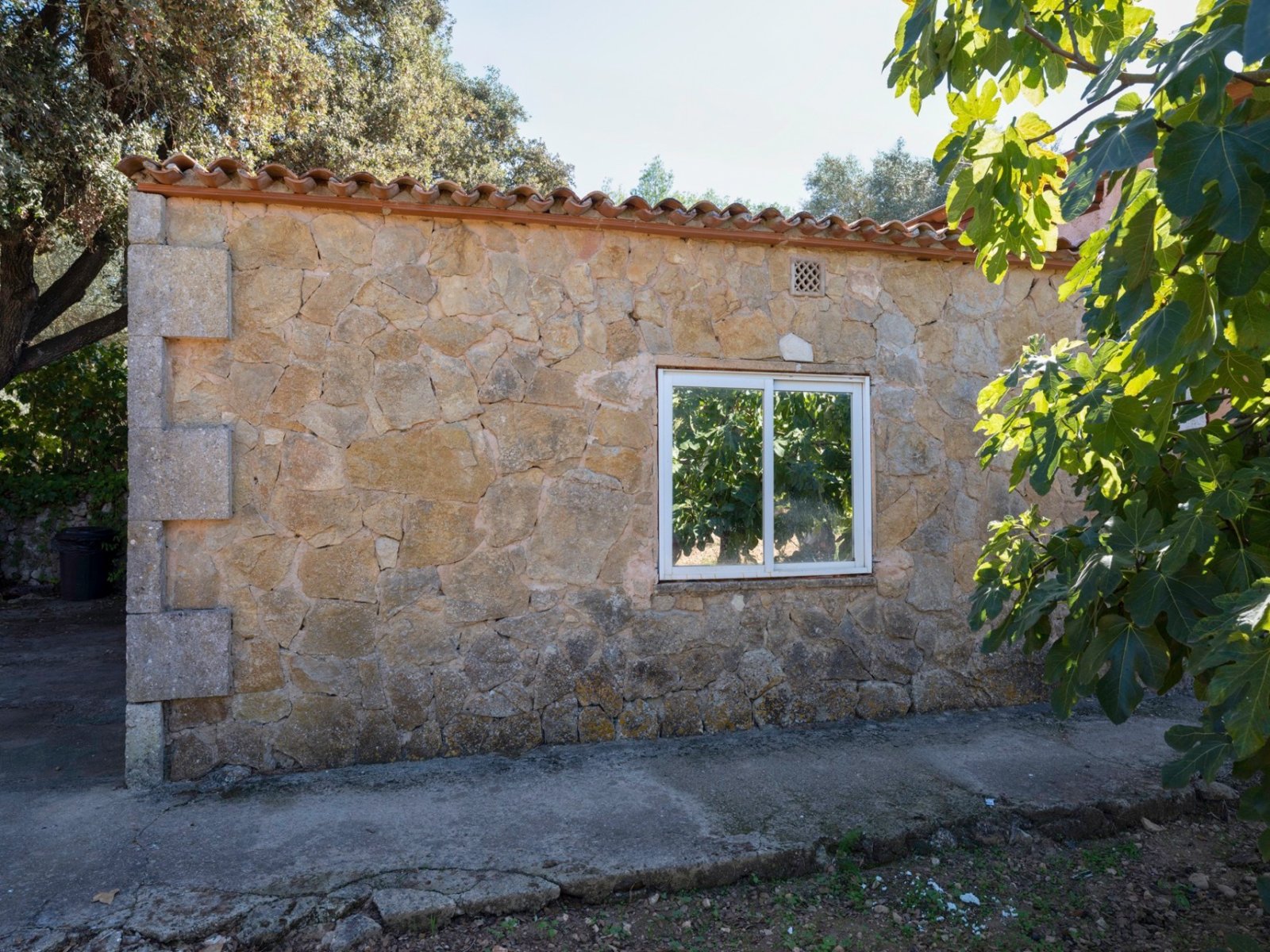 Finca de Ensueño con Piscina y Encanto – Una Rara Oportunidad en el Centro de Mallorca