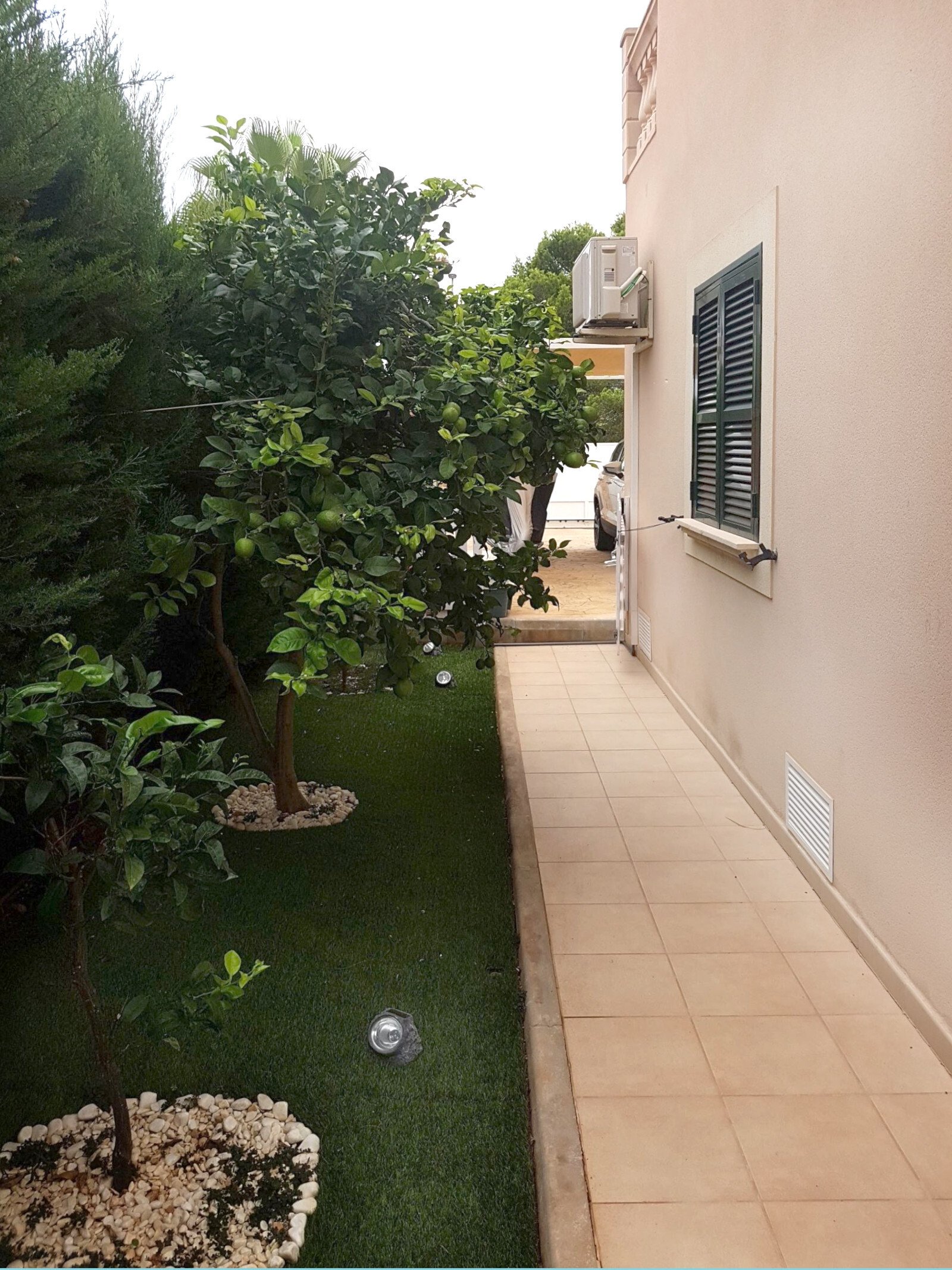 Garten Garten