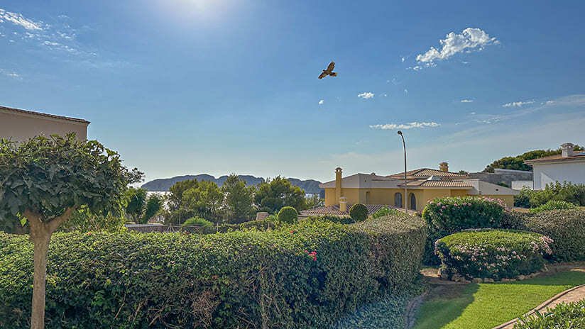 Vista panorámica de la extensa propiedad con jardín cuidado y paisaje montañoso Vista panorámica de la extensa propiedad con jardín cuidado y paisaje montañoso