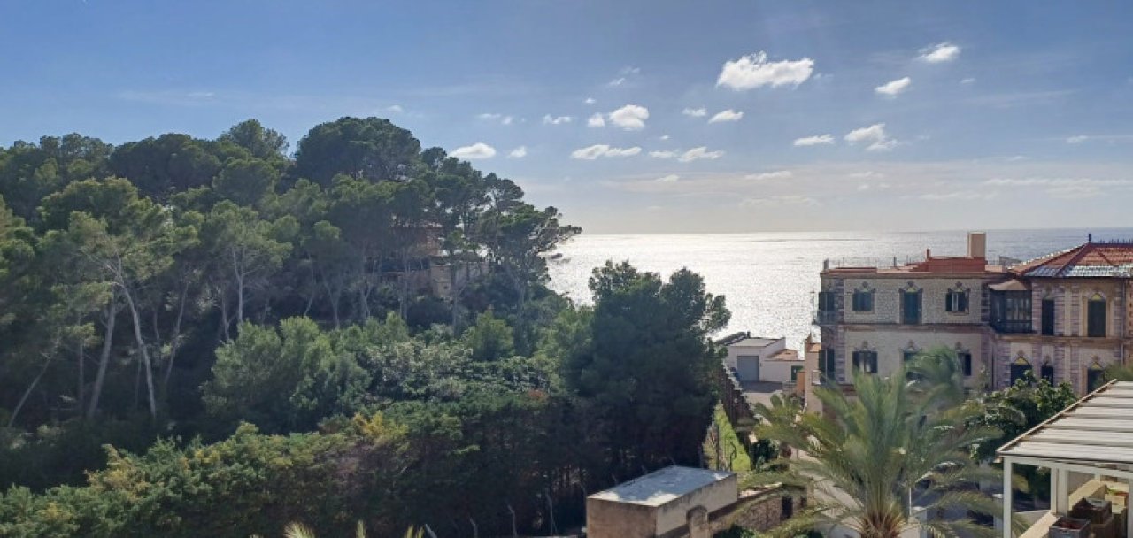 Vista panorámica del mar y la vegetación mediterránea