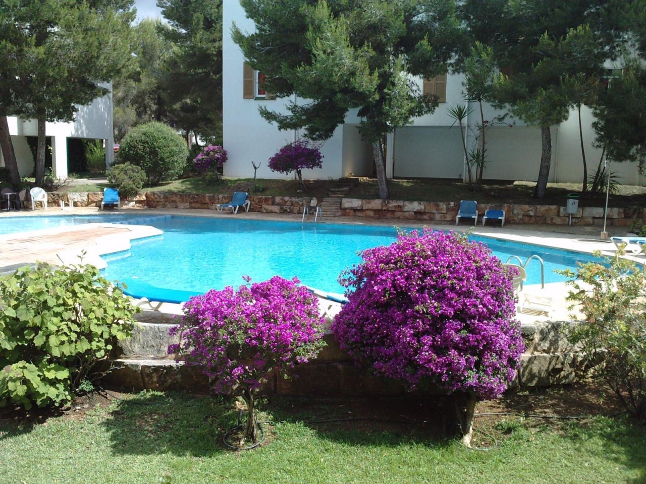 Piscina con equipamiento profesional y área exterior bien cuidada Piscina con equipamiento profesional y área exterior bien cuidada