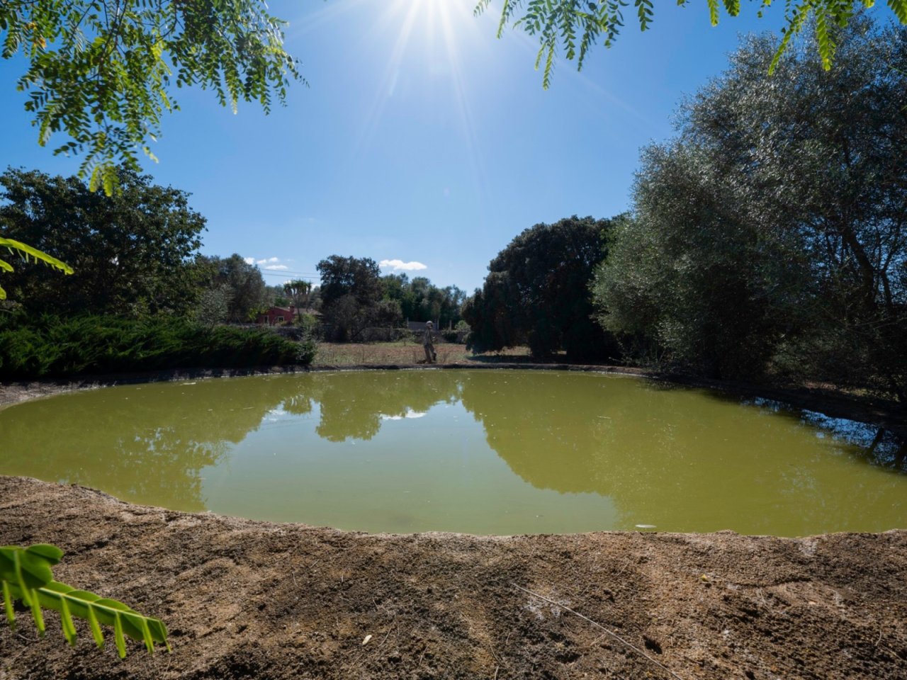 Hermoso estanque de agua con límites naturales formados por antiguos árboles y un jardín mediterráneo