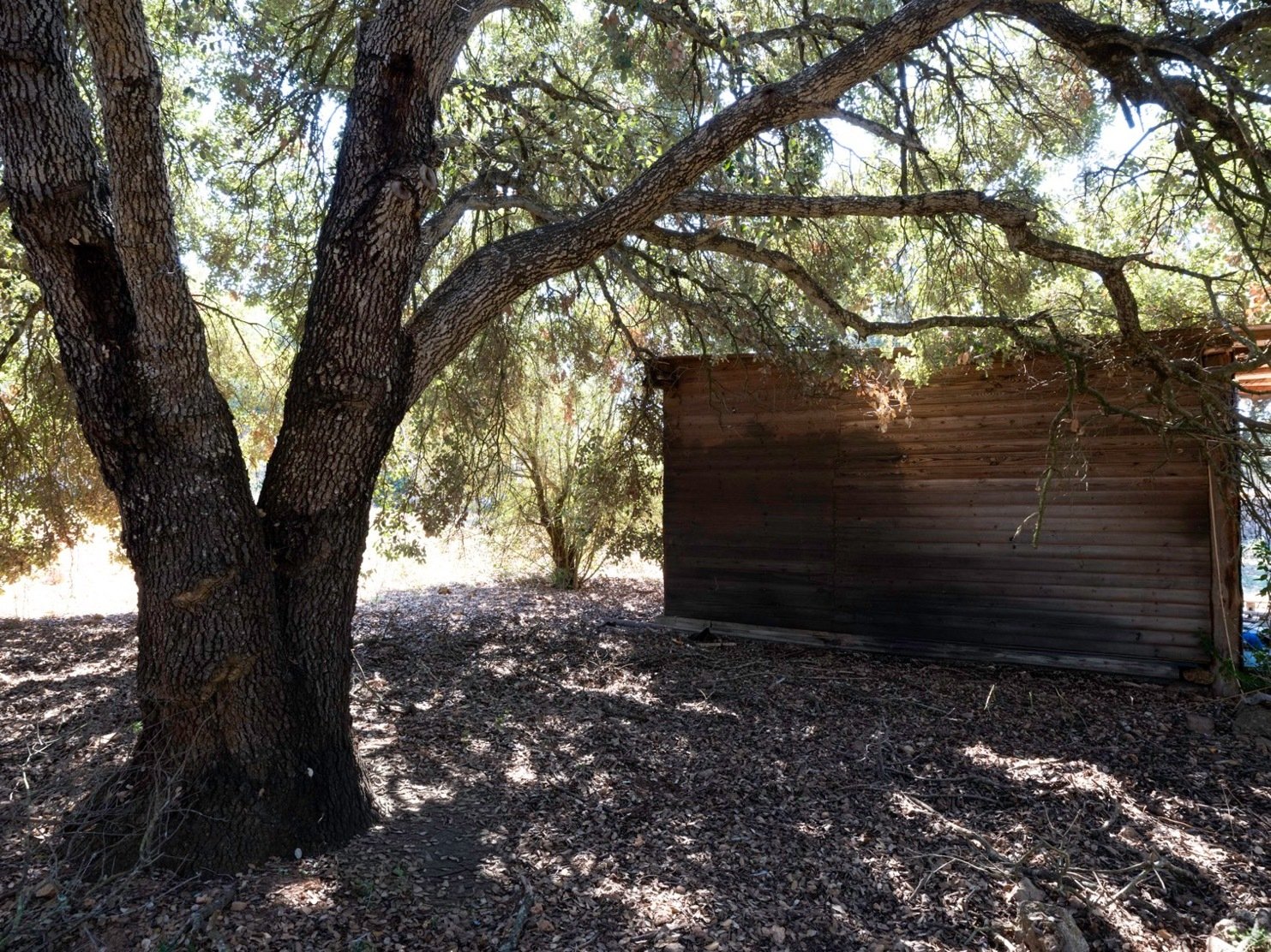 Casa de jardín rústica bajo árboles sombreados con estructura de madera maciza