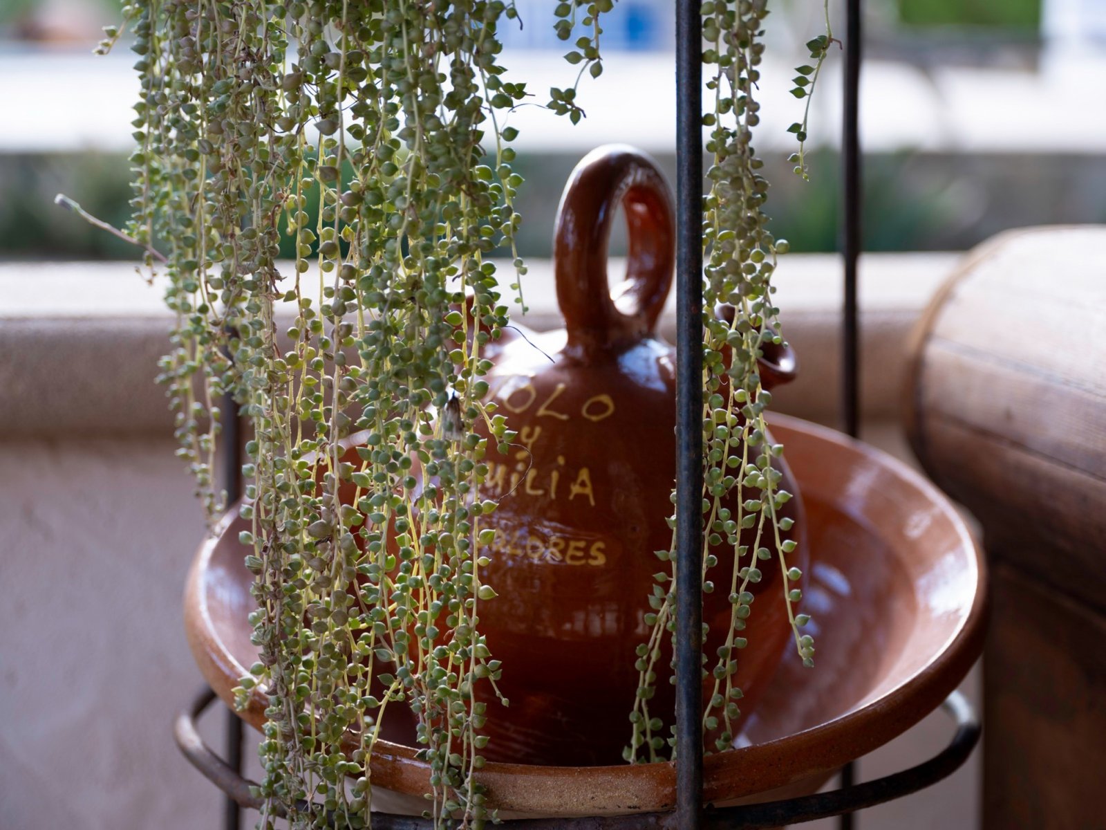 Encanto de terrazas: plantas colgantes enmarcan la piscina con elegancia natural