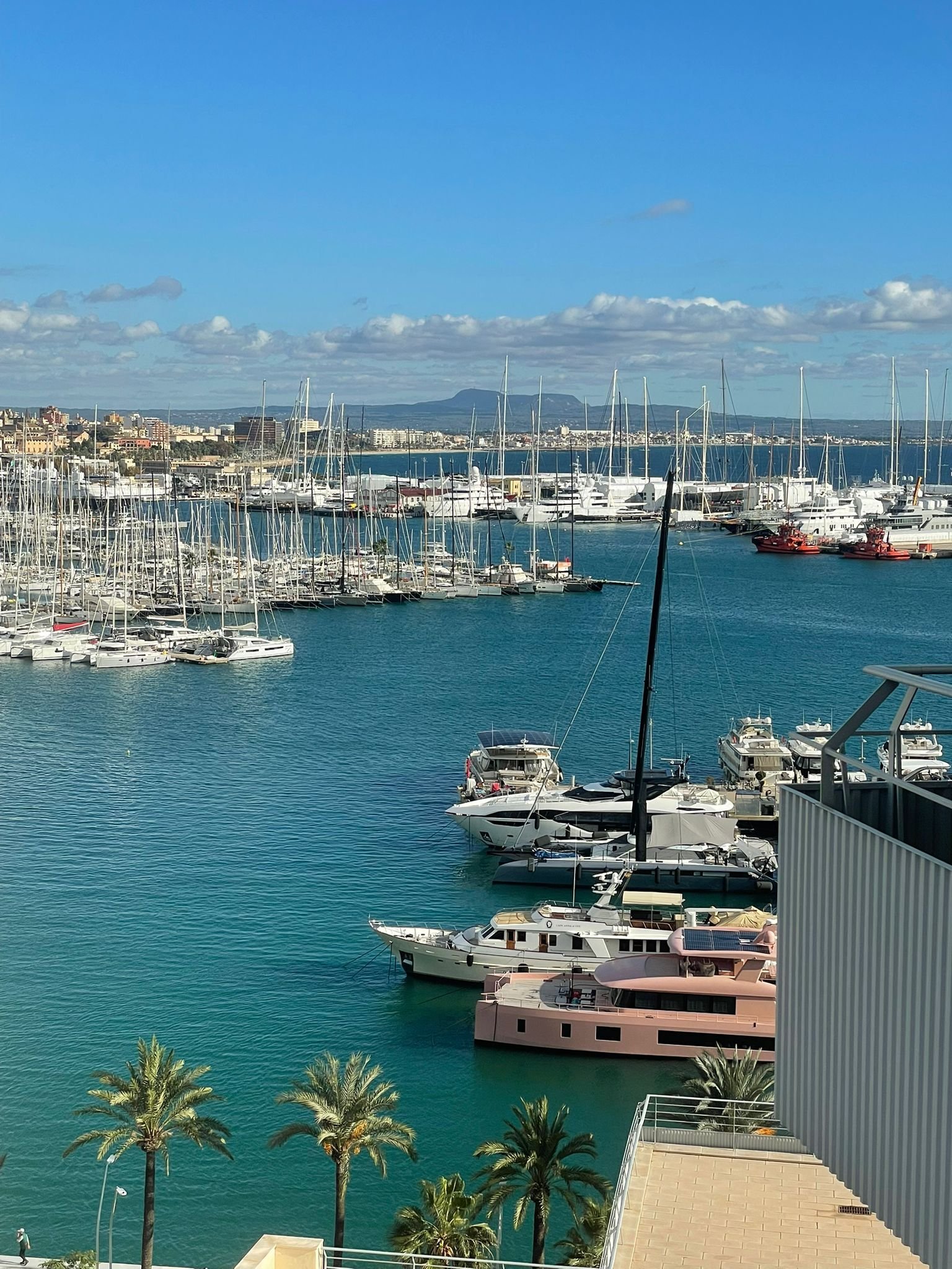 Vista del puerto en todo su esplendor: vista desde el balcón de la actividad vibrante y el paisaje mediterráneo
