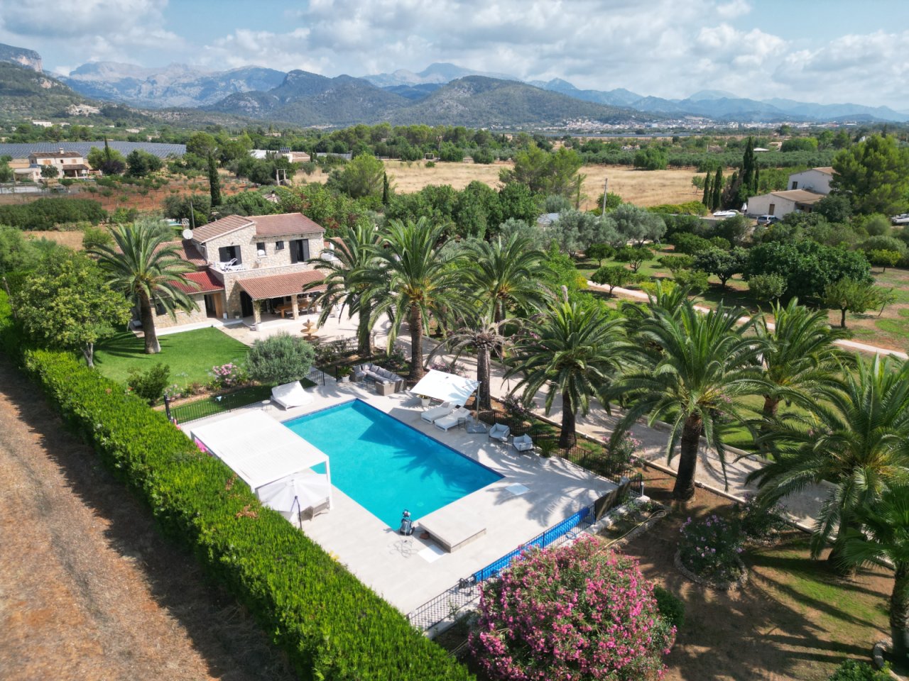 Piscina con terraza soleada perimetrale e gioco d'ombra integrato sotto le palme