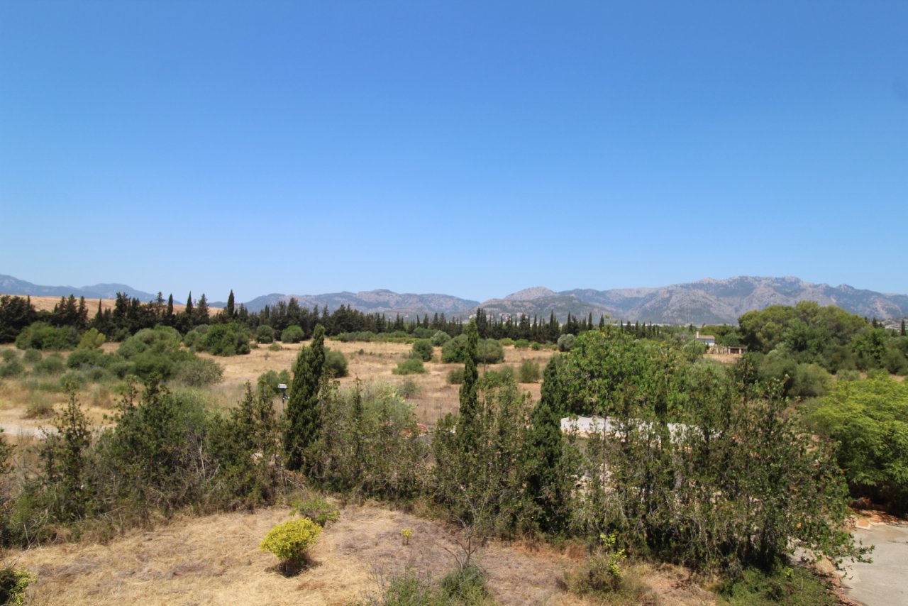 Propiedad forestal natural con un paisaje montañoso pintoresco y vistas panorámicas sin obstáculos