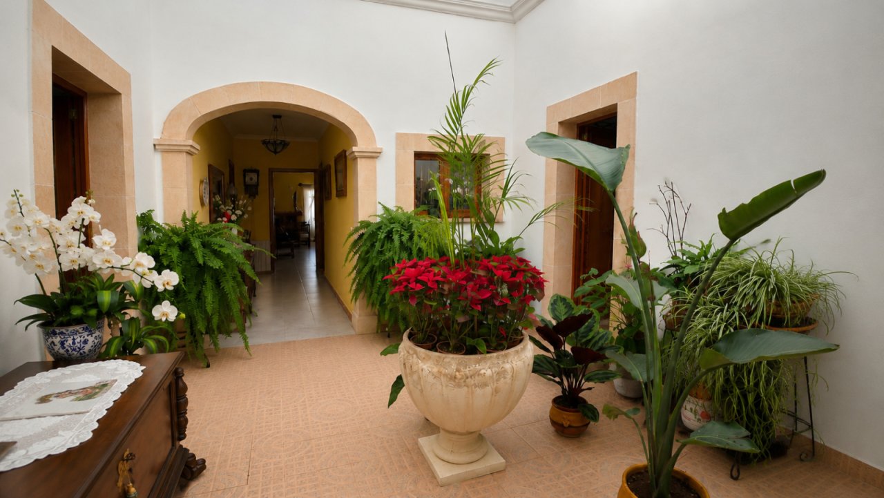 Elegante patio interior con arcadas con carácter y flujo directo de espacio Elegante patio interior con arcadas con carácter y flujo directo de espacio