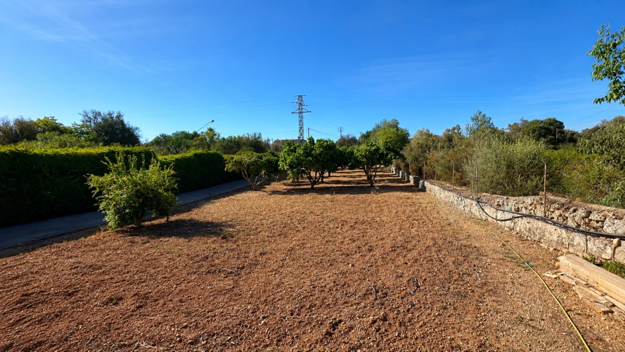 Superficie agrícola con árboles establecidos y infraestructura de riego desarrollada Superficie agrícola con árboles establecidos y infraestructura de riego desarrollada