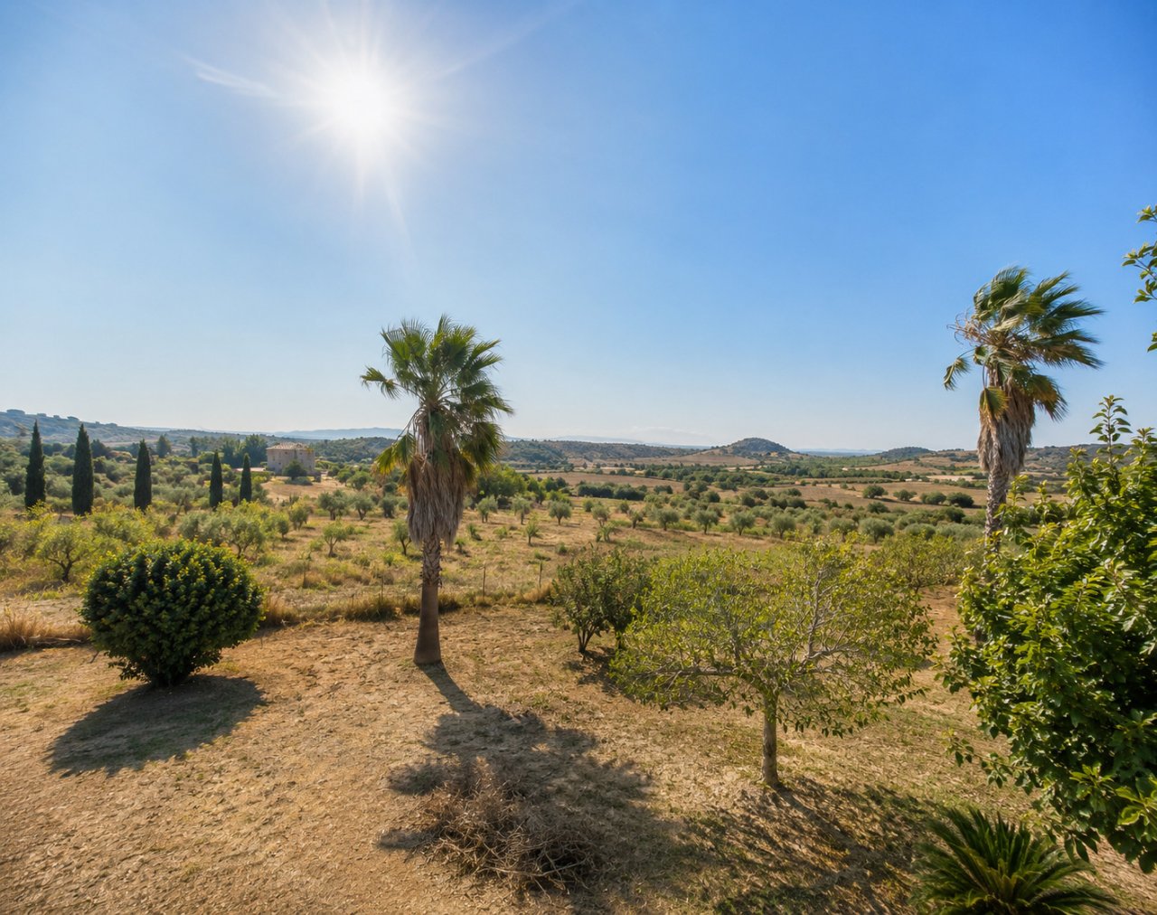 Espectaculares vistas panorámicas de la campiña toscana, con una vista ininterrumpida de colinas y olivares. Espectaculares vistas panorámicas de la campiña toscana, con una vista ininterrumpida de colinas y olivares.