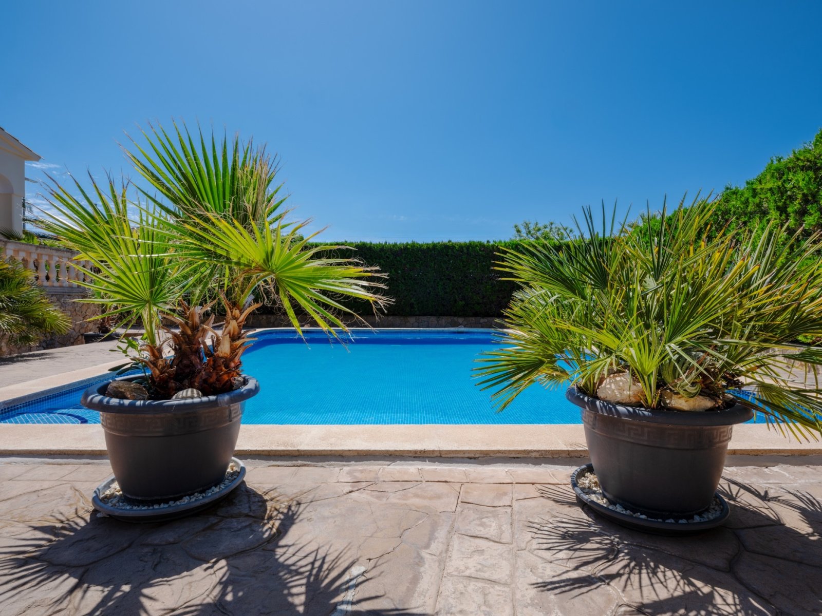 Área de piscina con revestimiento de piedra natural elegante y jardín cuidado