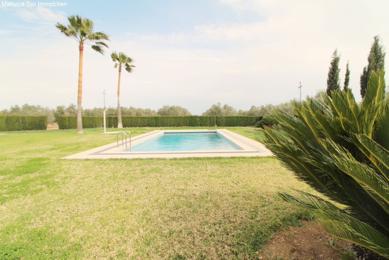Piscina con solárium soleado y entorno paisajístico cuidado