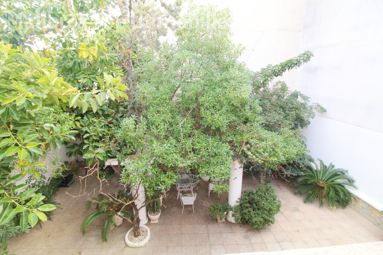 Terraza sombreada con pérgola natural - Zona exterior idílica con protección orgánica contra la luz solar