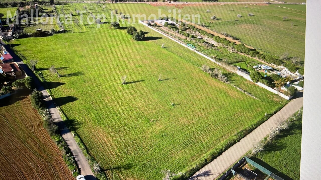 Tierras agrícolas planas con conexión directa al agua y parcelación clara Tierras agrícolas planas con conexión directa al agua y parcelación clara