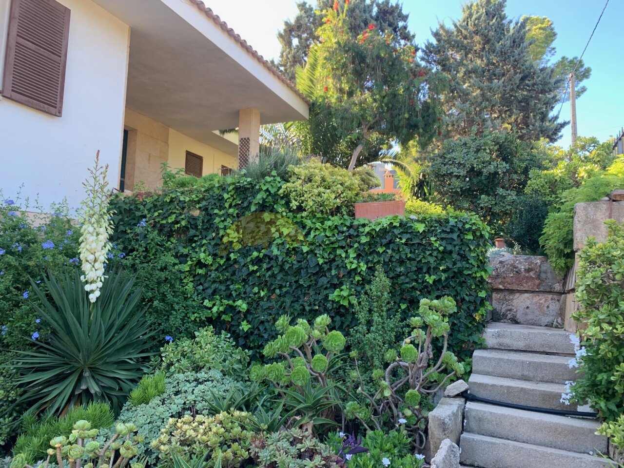 Entrada de jardín cuidada con escalera de piedra natural y árboles establecidos