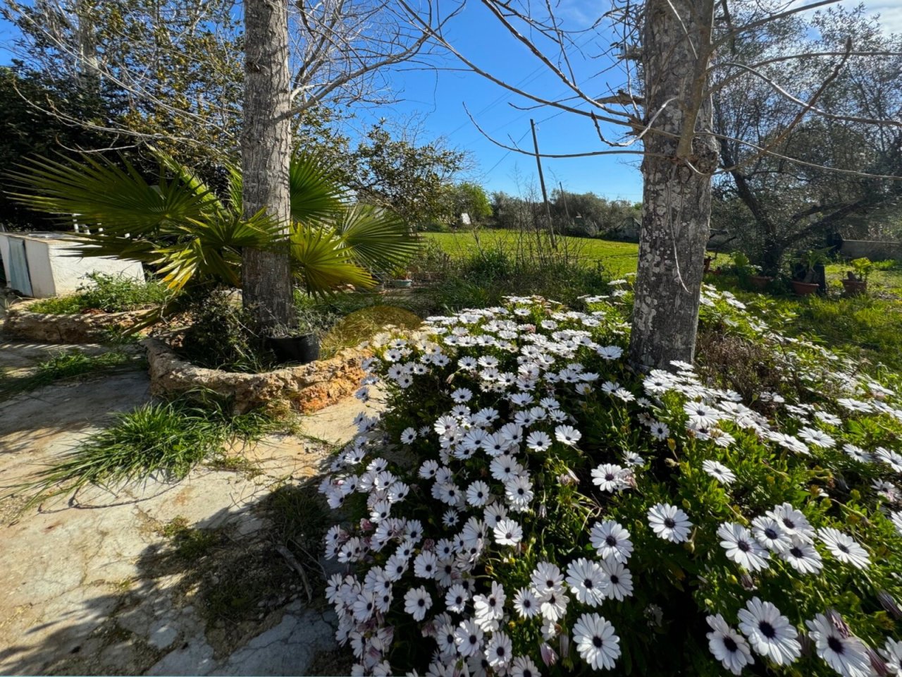 Área de jardín idílica con árboles antiguos y diseño paisajístico natural. Área de jardín idílica con árboles antiguos y diseño paisajístico natural.