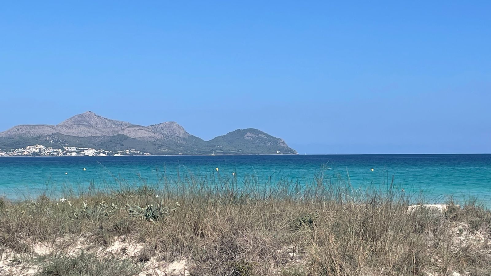 Deutsche Immobilienmakler in Alcudia