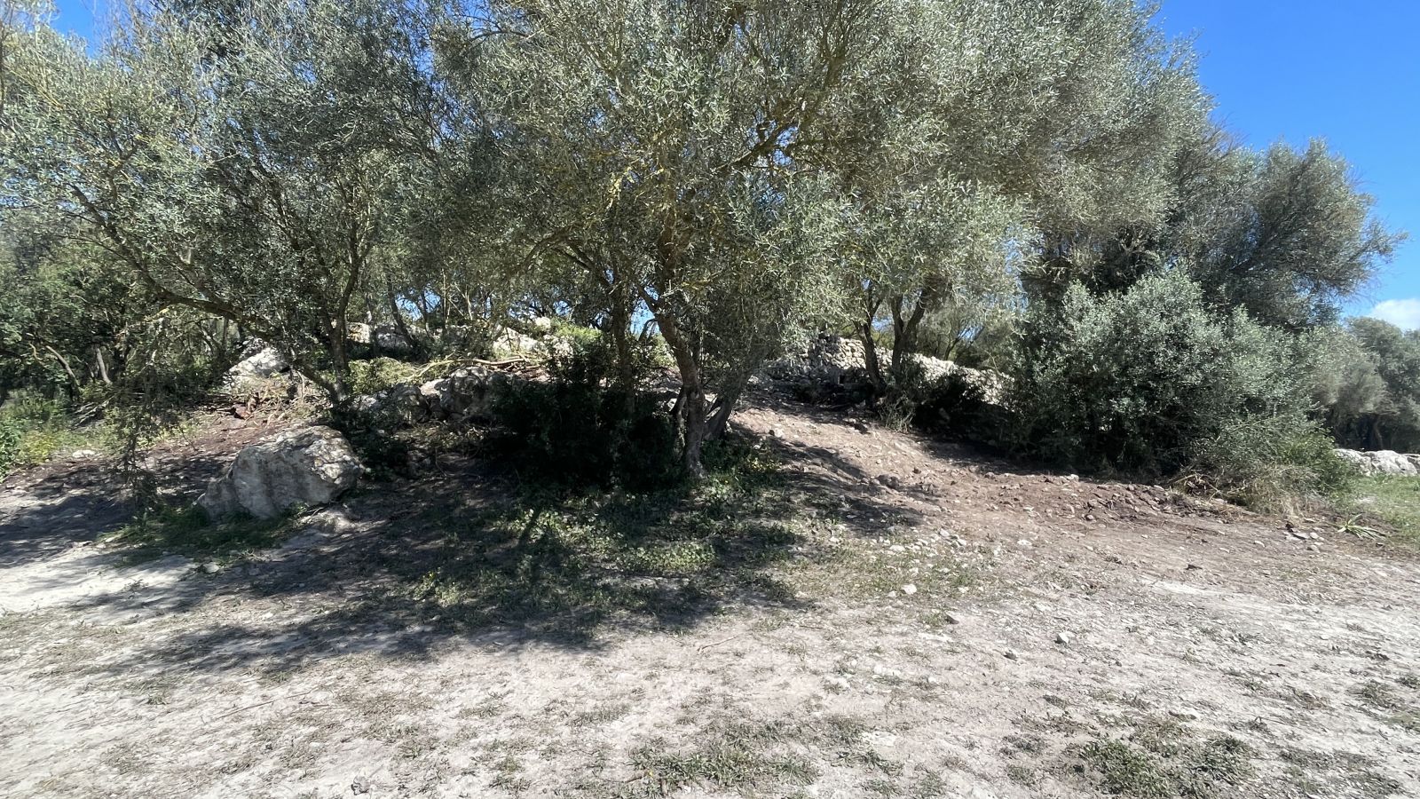 Talayot-Siedlung Son Fornés Mallorca Archäologie