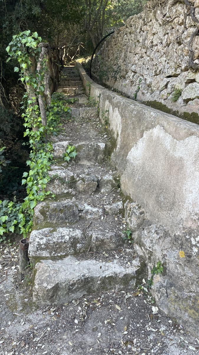 Der Weg zur Wasserquelle