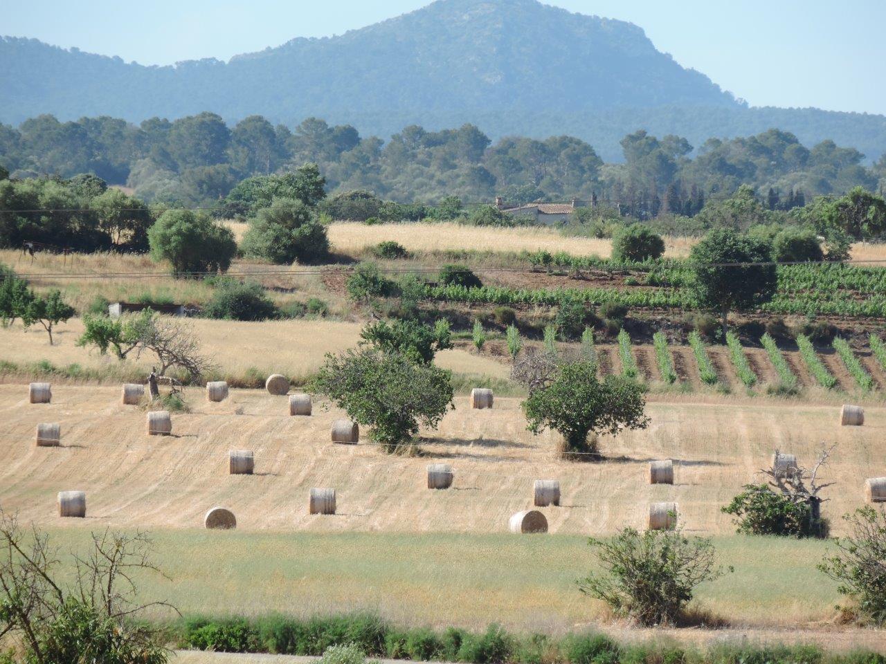 Wandern in Calvià mit Berge