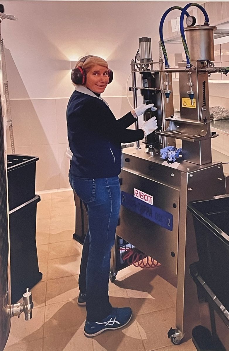Pressung der Arbequina- und Picual-Oliven