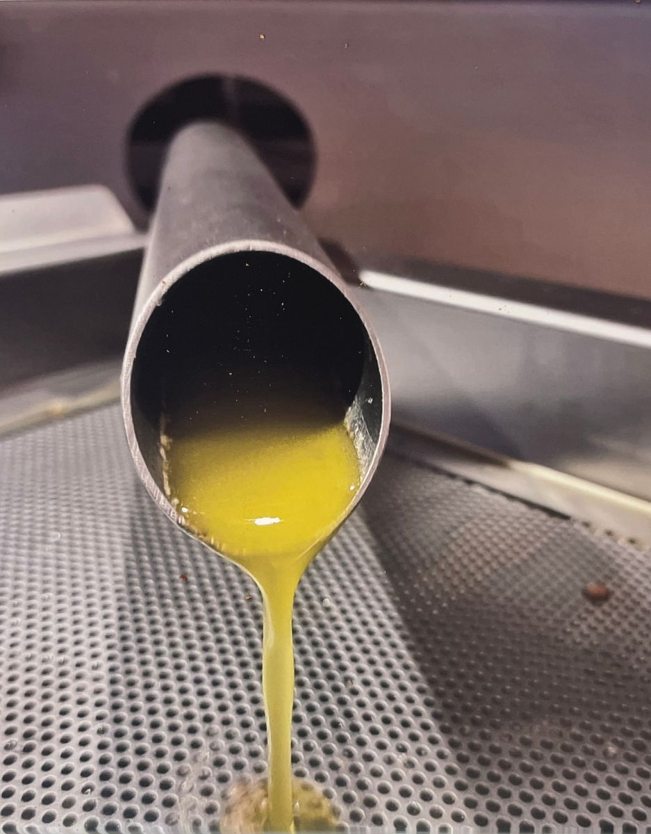 Moderne Olivenpresse auf Can OmXai