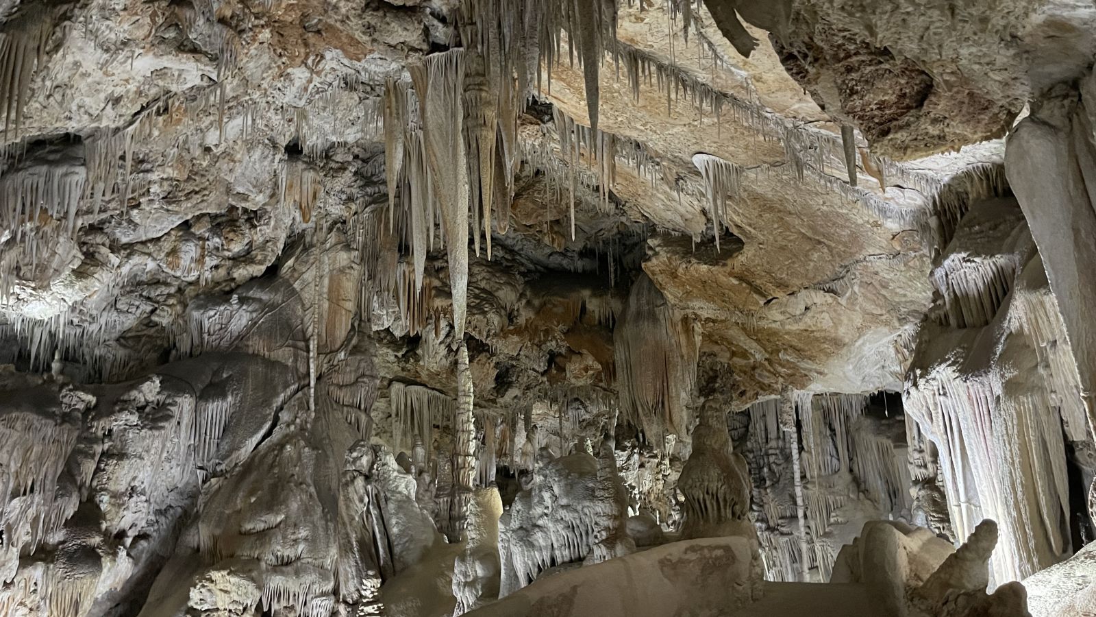 Coves de Campanet: ein stilles Naturerlebnis abseits des Trubels