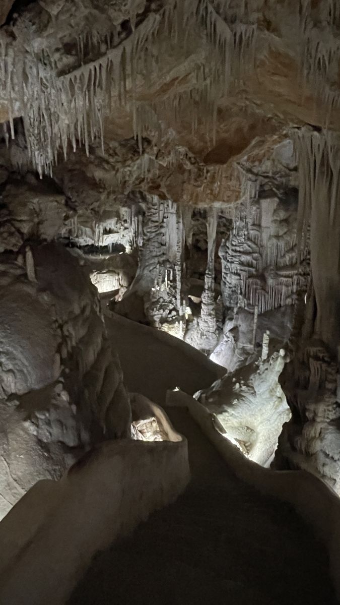 Ein Geheimtipp im Inselinneren – Coves de Campanet fernab der Touristenströme