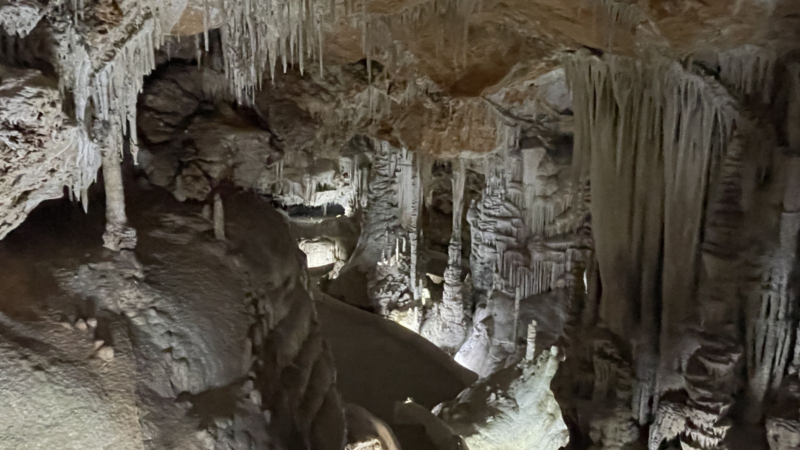 Erkunden Sie Mallorcas versteckte Welt – die Coves de Campanet bieten Abenteuer & Ruhe zugleich
