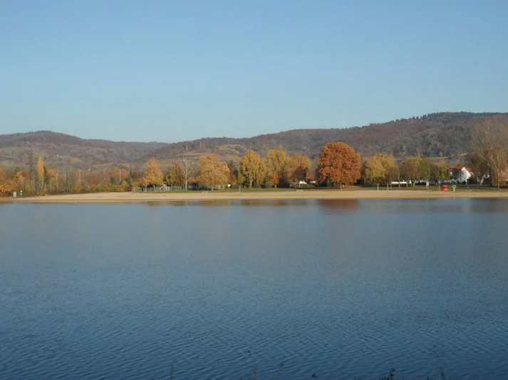 Mandelblüte am See