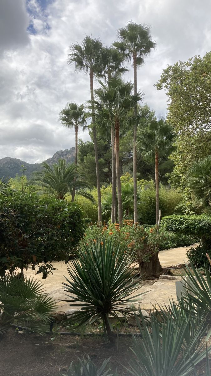Ein Ort der Ruhe – mallorquinische Gartenkunst im Herzen der Tramuntana