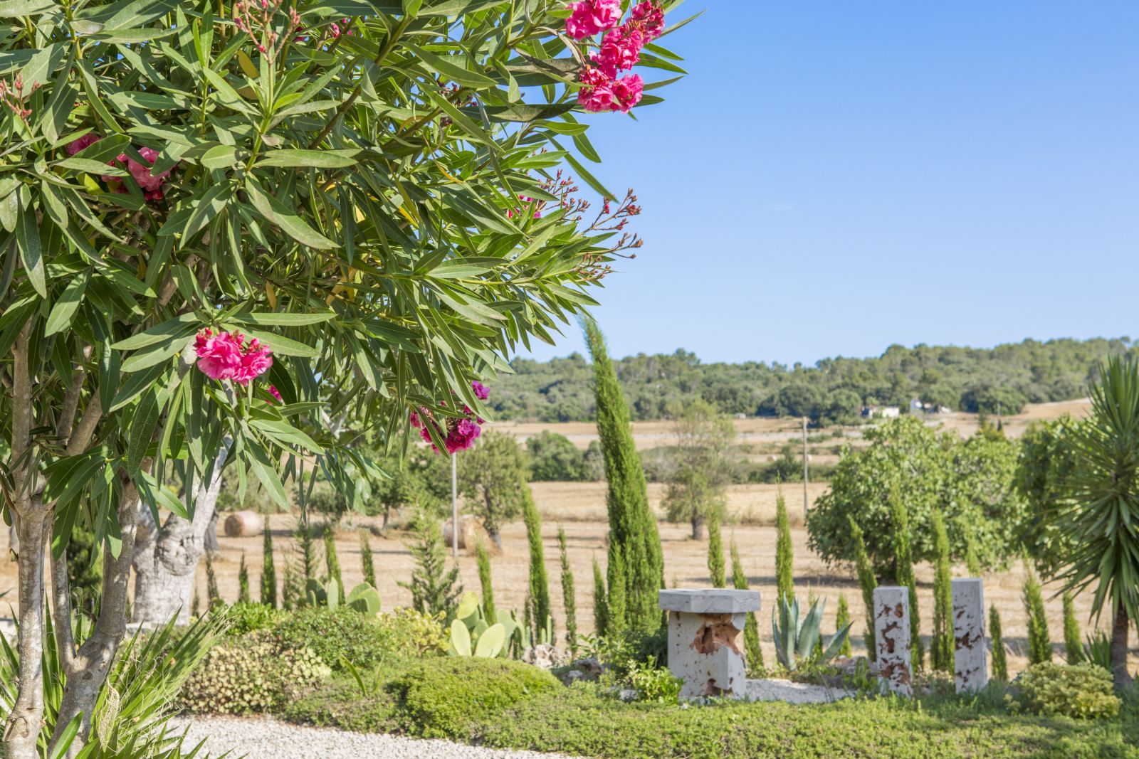 Hübsches Feld bei Finca auf Mallorca