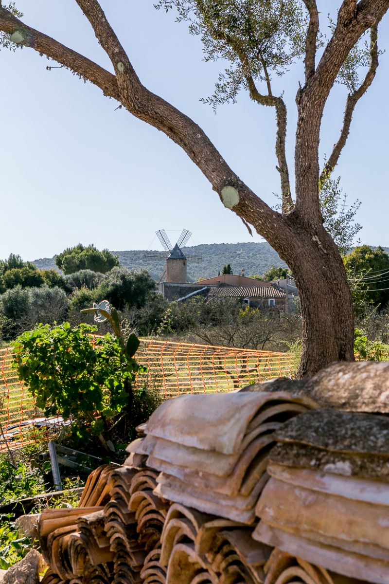 Eine Finca auf Mallorca kaufen mit eigener Mühle