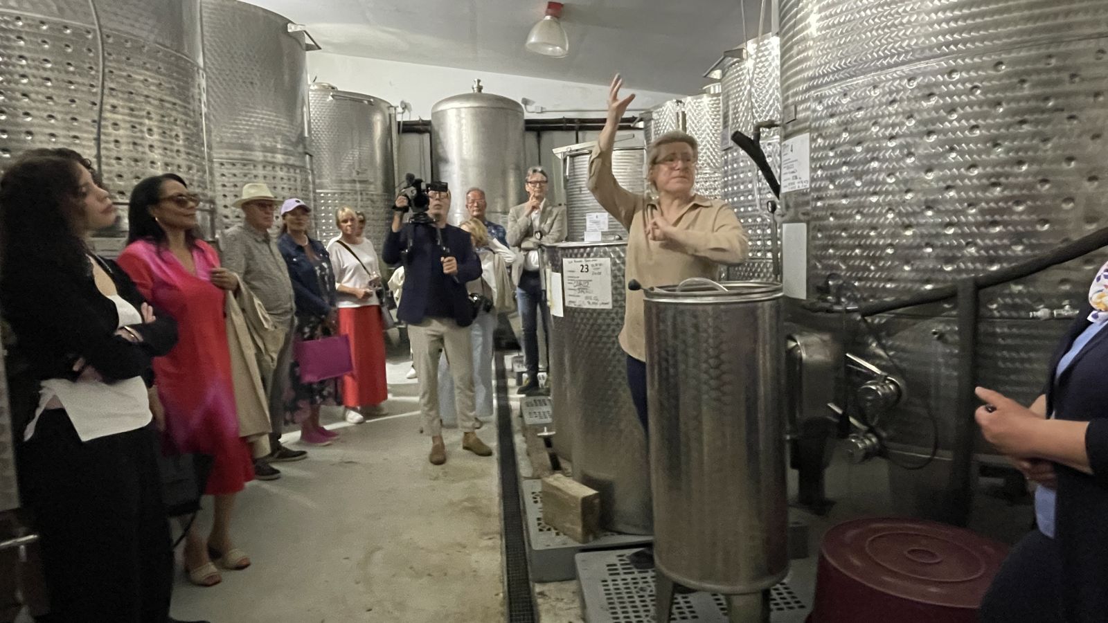 Vom Rebstock bis zur Flasche – Demeter-Wein mit Charakter aus Mallorca