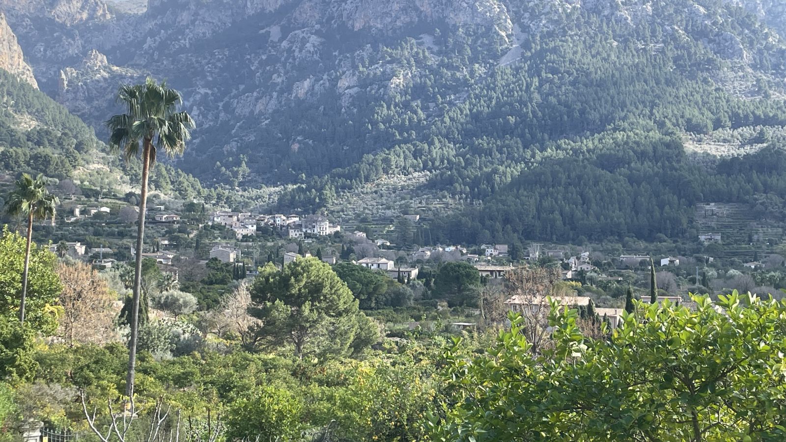 Actividades en Mallorca durante la primavera
