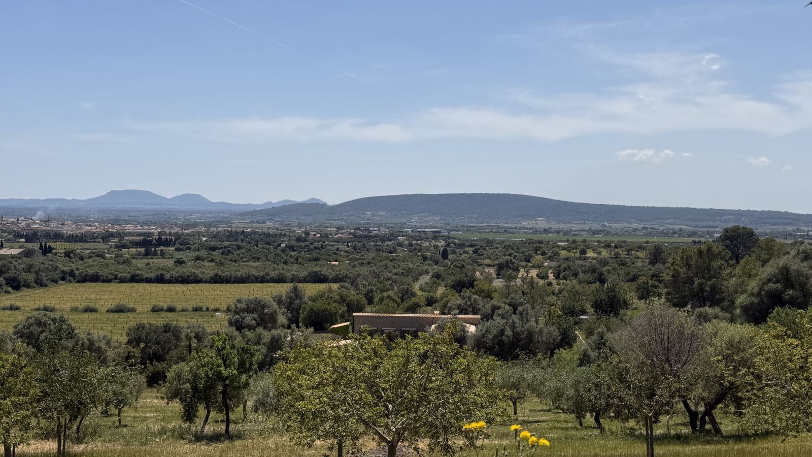 Mallorca Strand in der Abendsonne als Symbol für Immobilien am Meer und mediterrane Lebensqualität