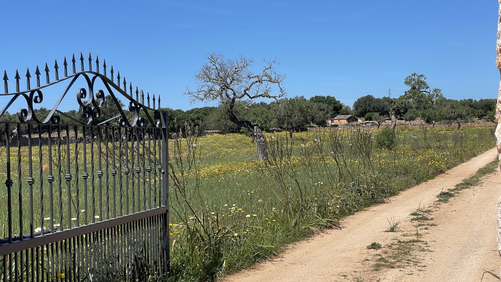 Exklusive Villa auf Mallorca mit Pool und gepflegtem Außenbereich als hochwertige Immobilienanlage