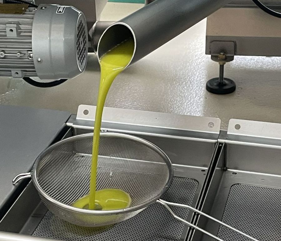 Nachhaltig produziert – Olivenöl aus kontrolliert biologischem Anbau in Algaida
