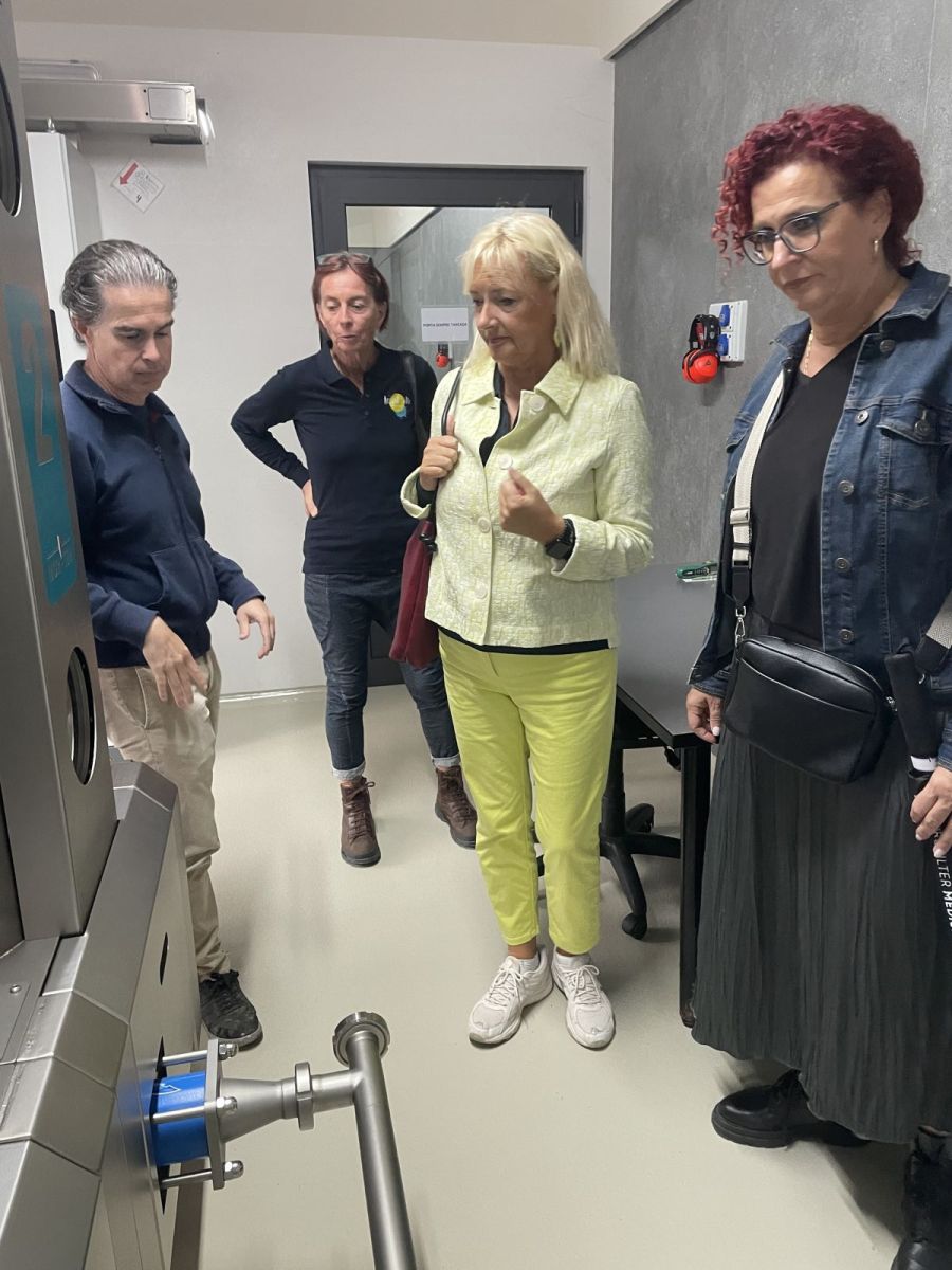 Gold der Insel – natives Olivenöl extra aus Mallorca, kaltgepresst in Algaida