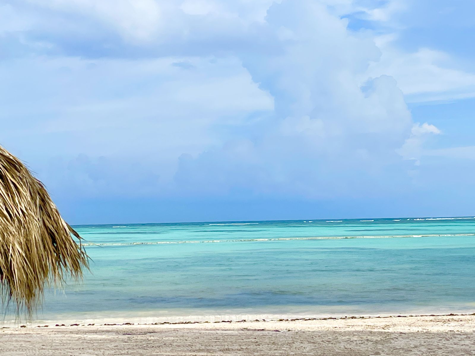 Feiner weißer Sandstrand unter Palmen – Urlaubsträume werden wahr
